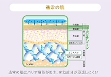 ✿こんな方にお勧め✿