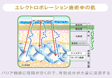 ✿こんな方にお勧め✿